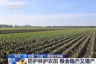 官方：韩国亚洲杯名单28日10点公布 1月2日赴西亚集结